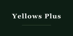 Yellows Plus independent eyewear brand logo