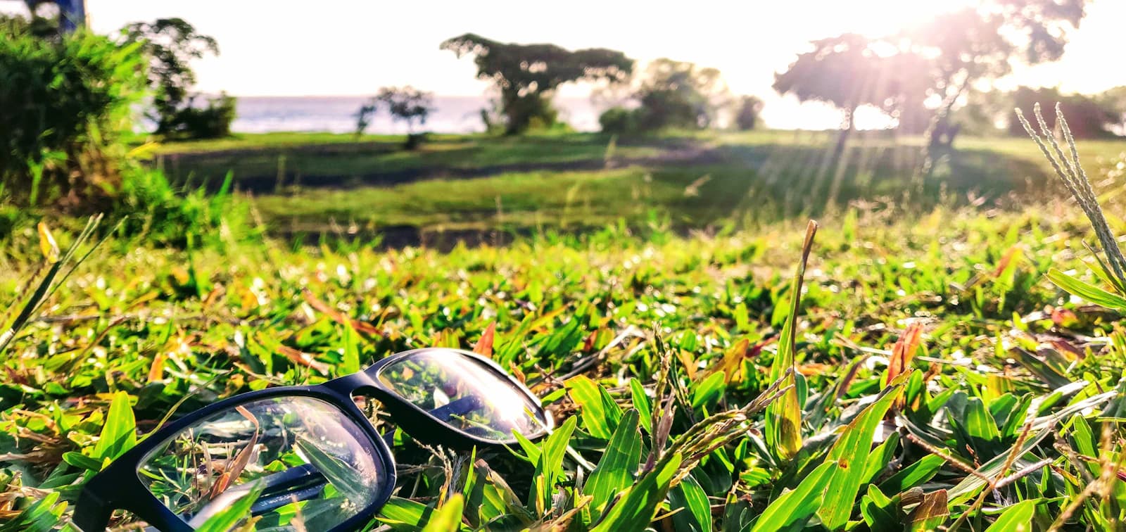 Row of photochromic lenses at different tint stages, from fully clear to fully darkened
