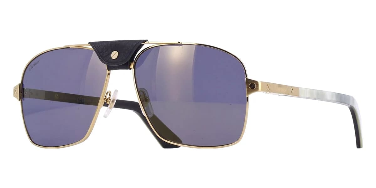 Cartier ct0389s / Leather Bridge — independent eyewear frame