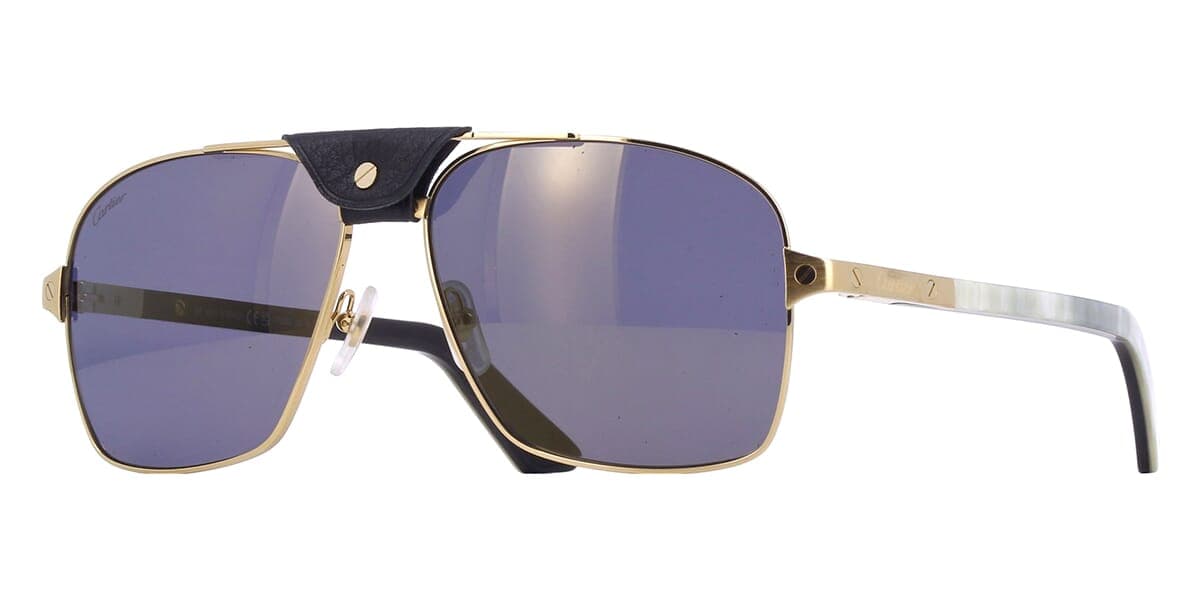 Cartier ct0389s / Leather Bridge
