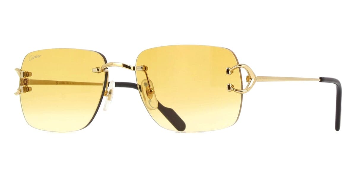 Cartier CT0330S