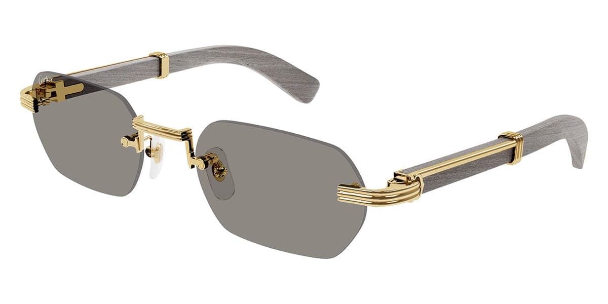 Cartier Ct0362s